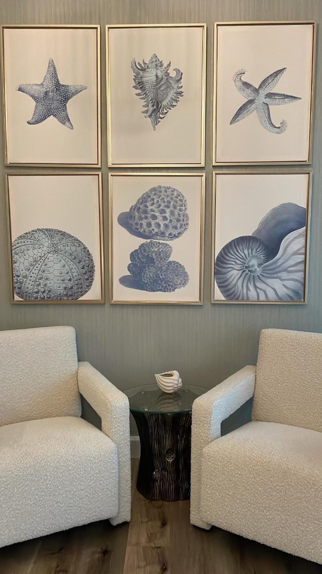 Coral Apartment Abu Dhabi